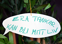 Sagobokens vdjan